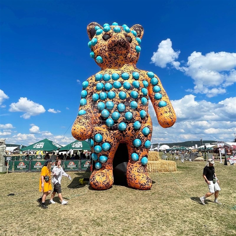 Inflatable animals suit costume customized inflatable copper bear animals model for sale